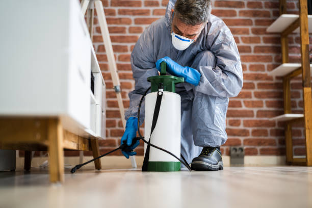 Best Residential Pest Control  in Palmyra, WI